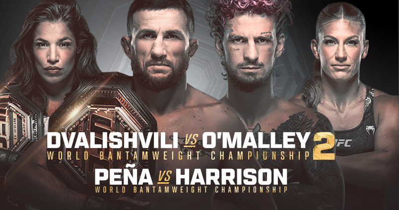 UFC 316 at Cheerleaders Club