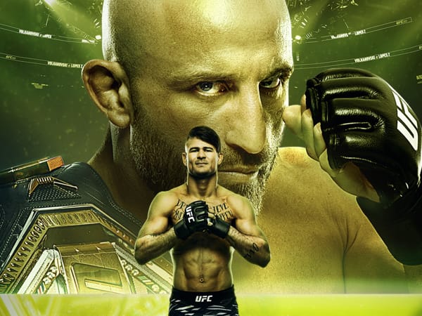 UFC 325